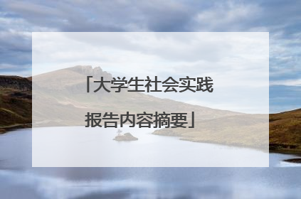大学生社会实践报告内容摘要