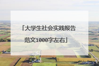 大学生社会实践报告范文1000字左右