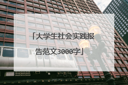 大学生社会实践报告范文3000字