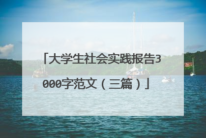 大学生社会实践报告3000字范文(三篇)