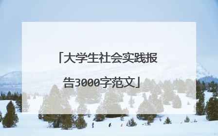 大学生社会实践报告3000字范文