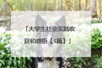 大学生社会实践收获和感悟【5篇】