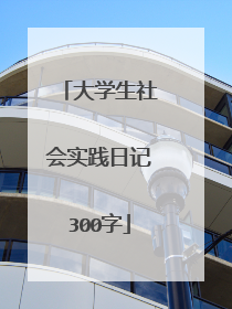 大学生社会实践日记300字