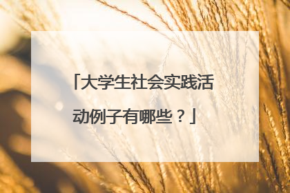 大学生社会实践活动例子有哪些?