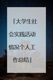 大学生社会实践活动情况个人工作总结