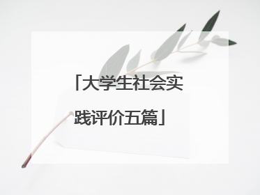 大学生社会实践评价五篇