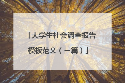 大学生社会调查报告模板范文（三篇）