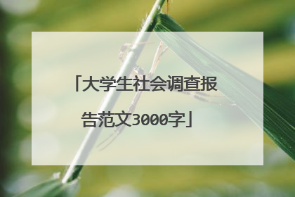 大学生社会调查报告范文3000字