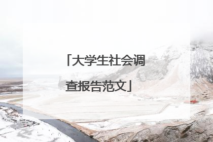 大学生社会调查报告范文