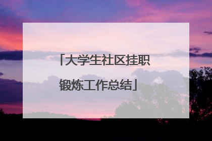 大学生社区挂职锻炼工作总结