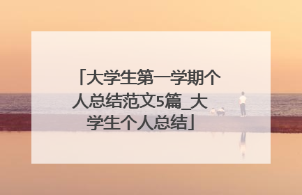 大学生第一学期个人总结范文5篇_大学生个人总结