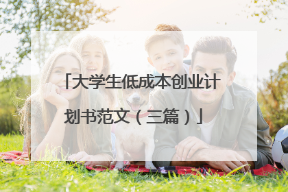 大学生低成本创业计划书范文(三篇)