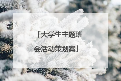 大学生主题班会活动策划案