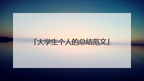 大学生个人的总结范文