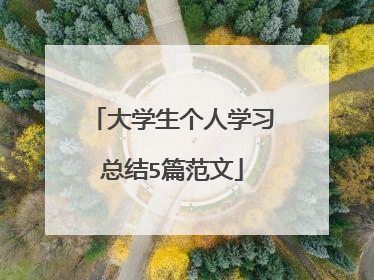 大学生个人学习总结5篇范文