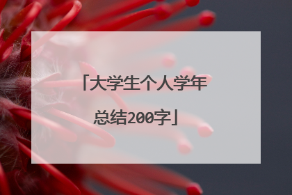 大学生个人学年总结200字