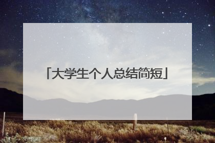 大学生个人总结简短