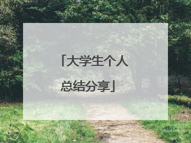 大学生个人总结分享