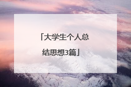 大学生个人总结思想3篇