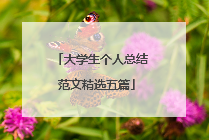 大学生个人总结范文精选五篇