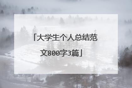 大学生个人总结范文800字3篇