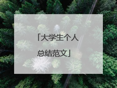 大学生个人总结范文