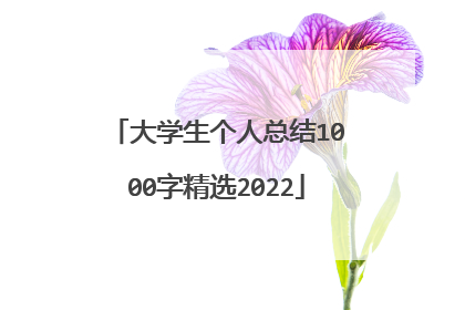 大学生个人总结1000字精选2022
