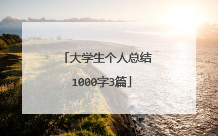大学生个人总结1000字3篇