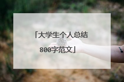 大学生个人总结800字范文
