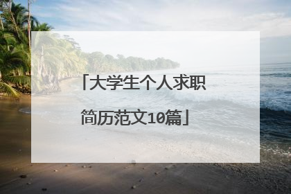 大学生个人求职简历范文10篇