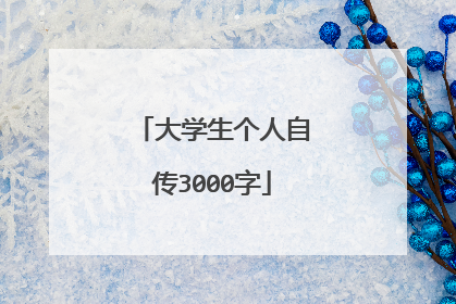 大学生个人自传3000字
