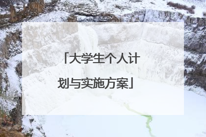 大学生个人计划与实施方案