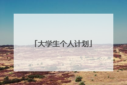 大学生个人计划