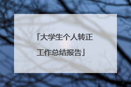 大学生个人转正工作总结报告
