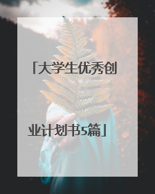 大学生优秀创业计划书5篇