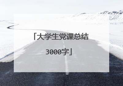 大学生党课总结 3000字