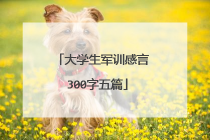 大学生军训感言300字五篇