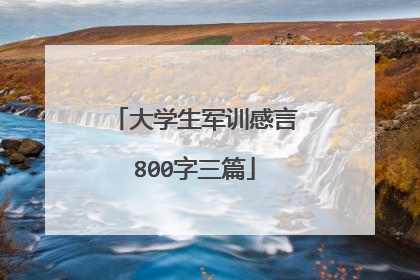大学生军训感言800字三篇