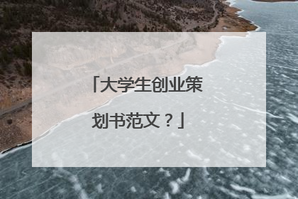 大学生创业策划书范文？