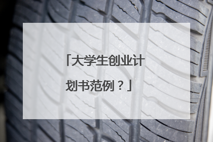 大学生创业计划书范例?