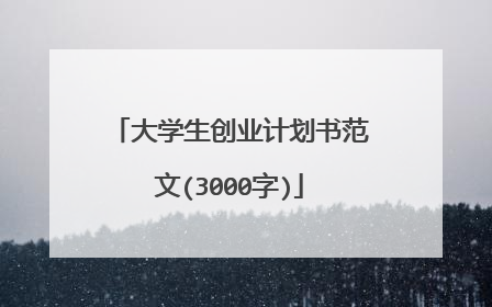 大学生创业计划书范文(3000字)