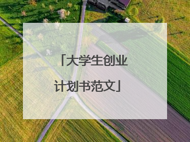 大学生创业计划书范文