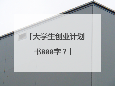 大学生创业计划书800字?