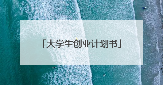 大学生创业计划书