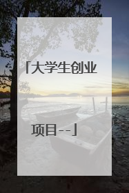 大学生创业项目--