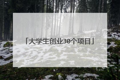 大学生创业30个项目