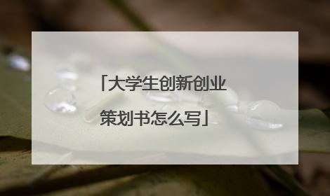 大学生创新创业策划书怎么写
