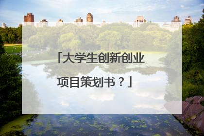 大学生创新创业项目策划书?