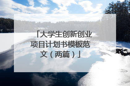 大学生创新创业项目计划书模板范文(两篇)