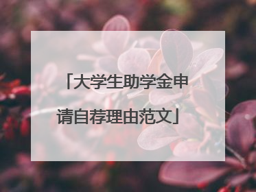 大学生助学金申请自荐理由范文